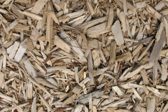biomass boilers Stradsett